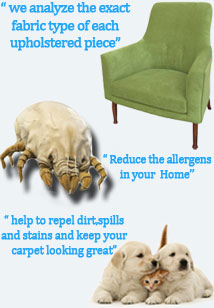 Upholstery Stain Removal